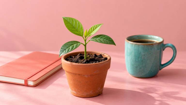 Green seedling in a terracotta pot beside a notebook and turquoise cup.